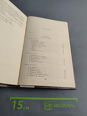 Россия молодая. Исторический роман. Книга первая