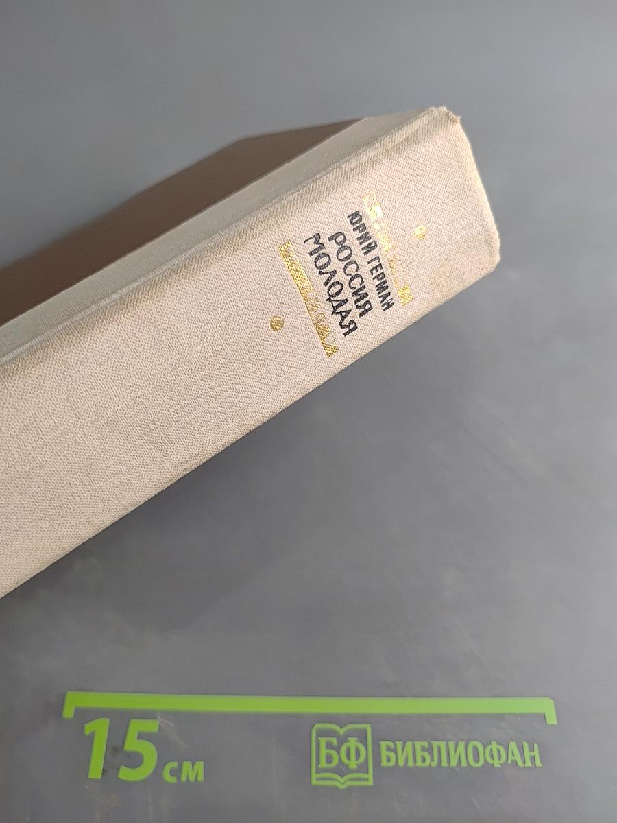 Россия молодая. Исторический роман. Книга первая