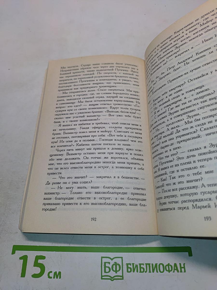 Дубровский. Капитанская дочка