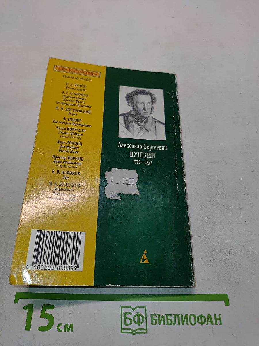 Дубровский. Капитанская дочка