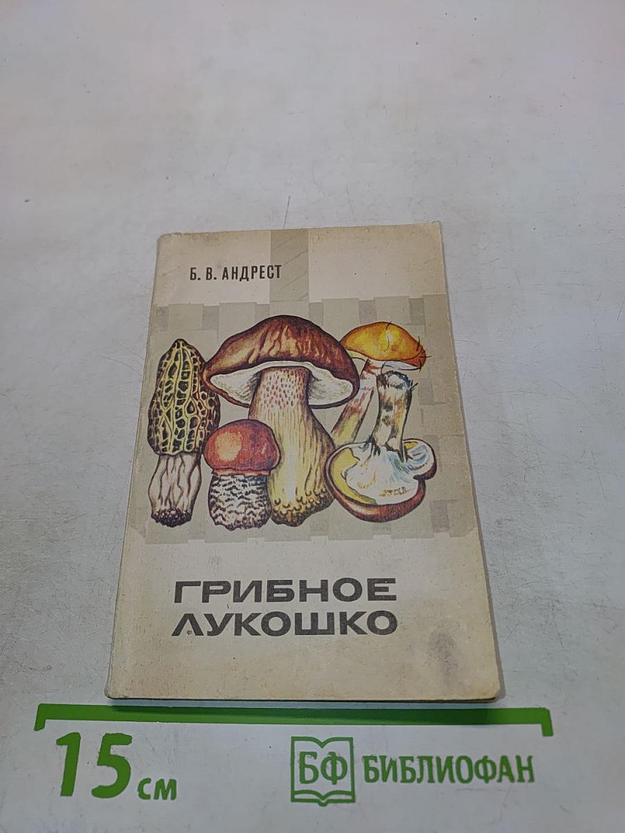 Грибное лукошко