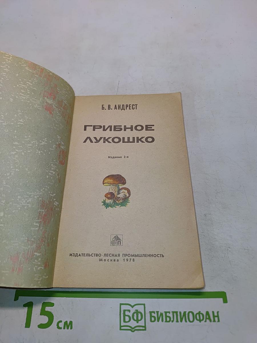 Грибное лукошко