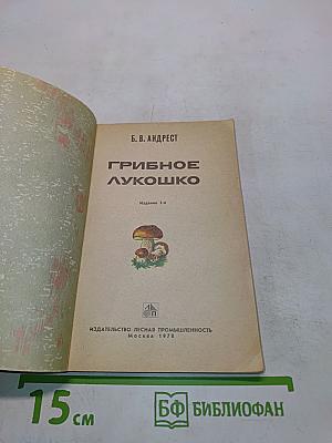 Грибное лукошко