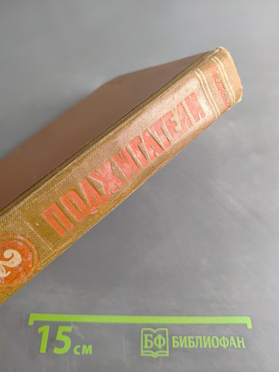 Поджигатели. Книга вторая