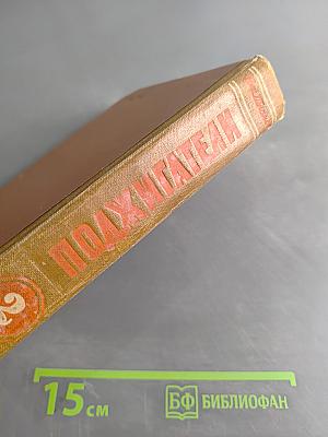 Поджигатели. Книга вторая