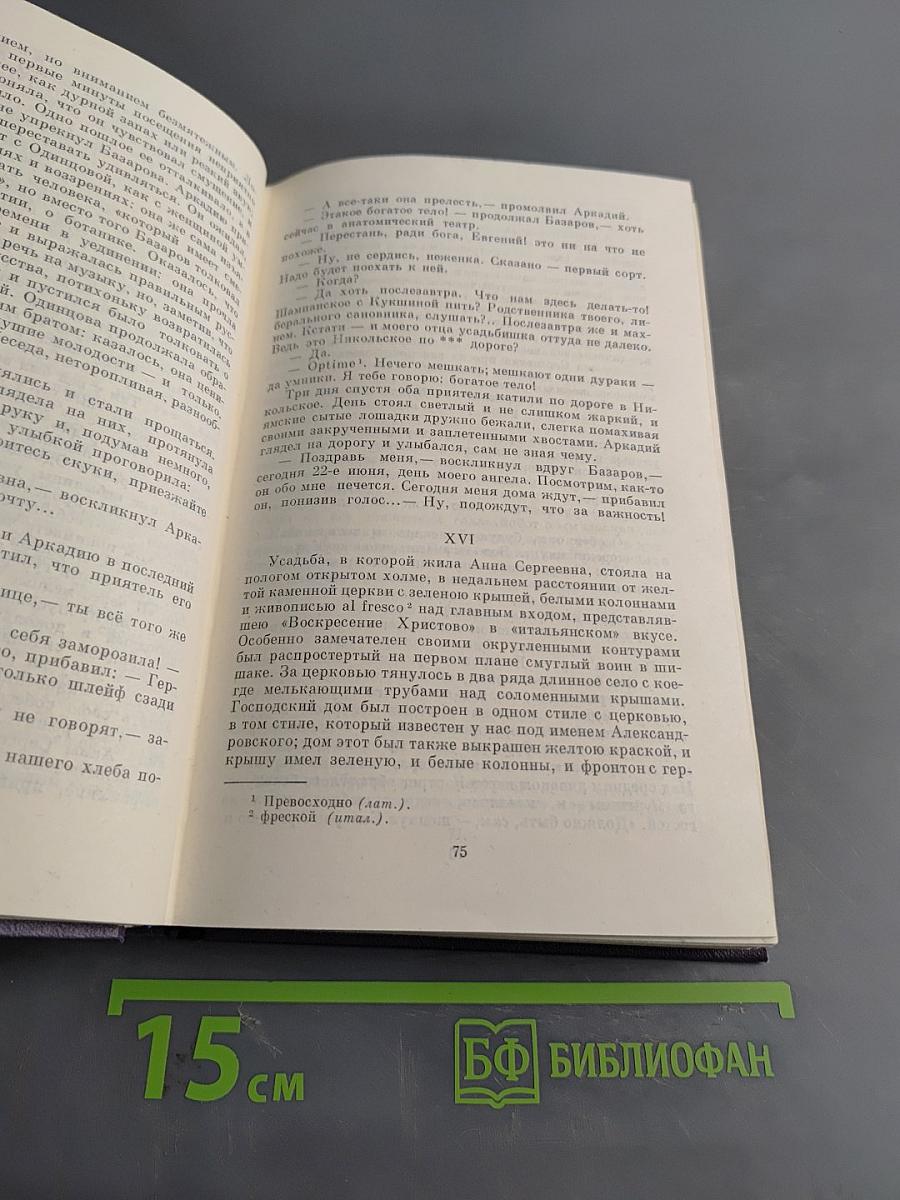 Сочинения. Том седьмой. Отцы и дети. Повести и рассказы. Дым