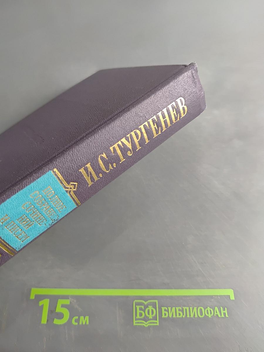 Сочинения. Том седьмой. Отцы и дети. Повести и рассказы. Дым