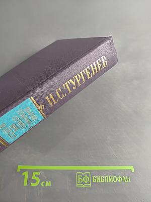 Сочинения. Том седьмой. Отцы и дети. Повести и рассказы. Дым