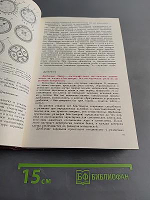 Гистология