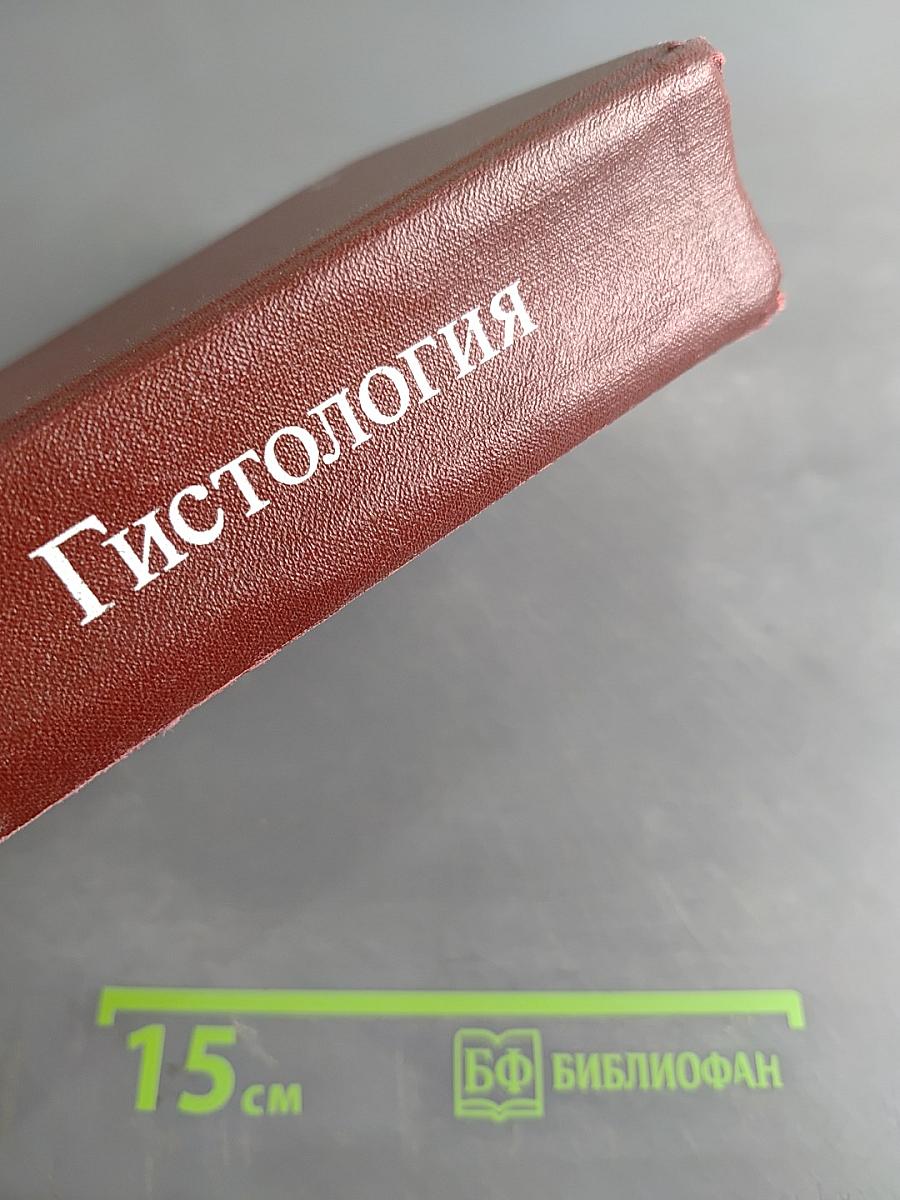 Гистология