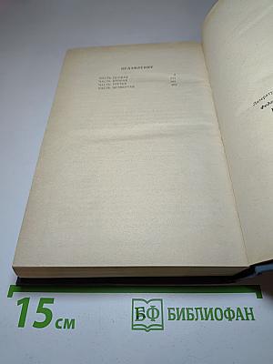 Каменный пояс. Книга вторая. Наследники