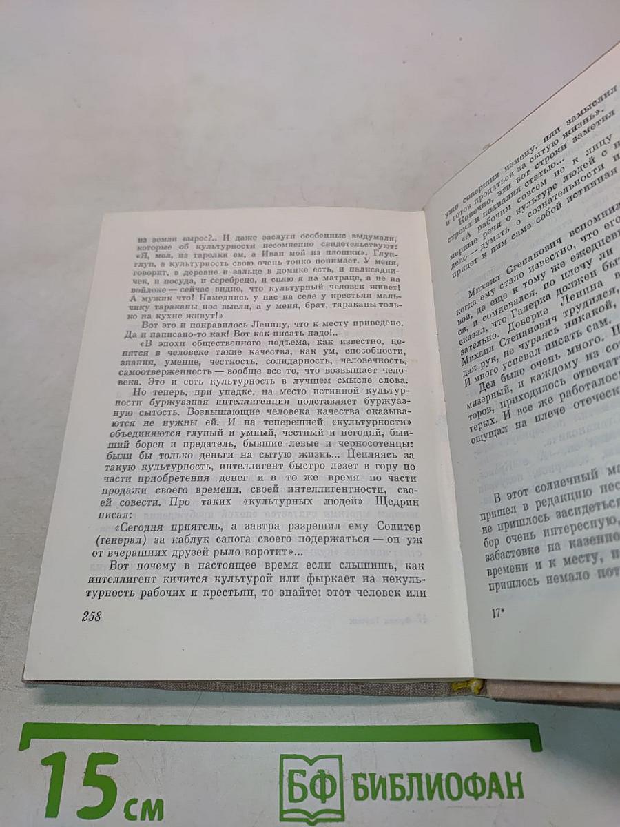 Каменщик революции
