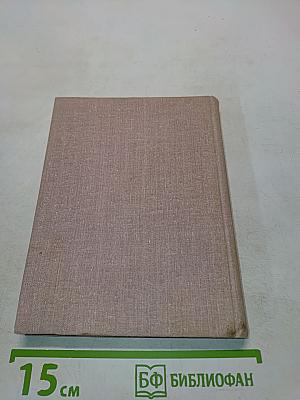 Каменщик революции