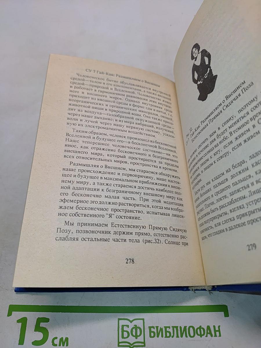 Целительное питание. Здоровье, питание, судьба с позиций макробиотики