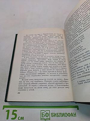У Лукоморья