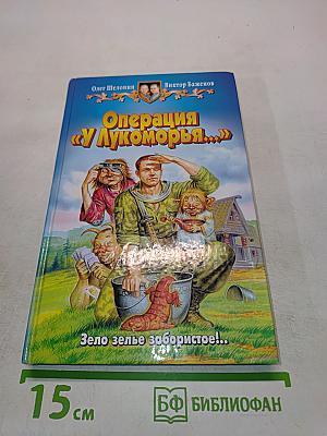 Операция «У Лукоморья...»