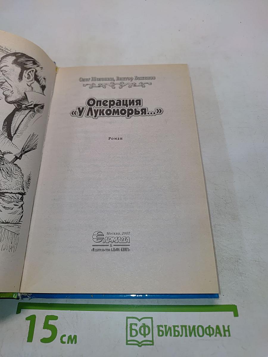 Операция «У Лукоморья...»
