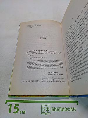 Операция «У Лукоморья...»