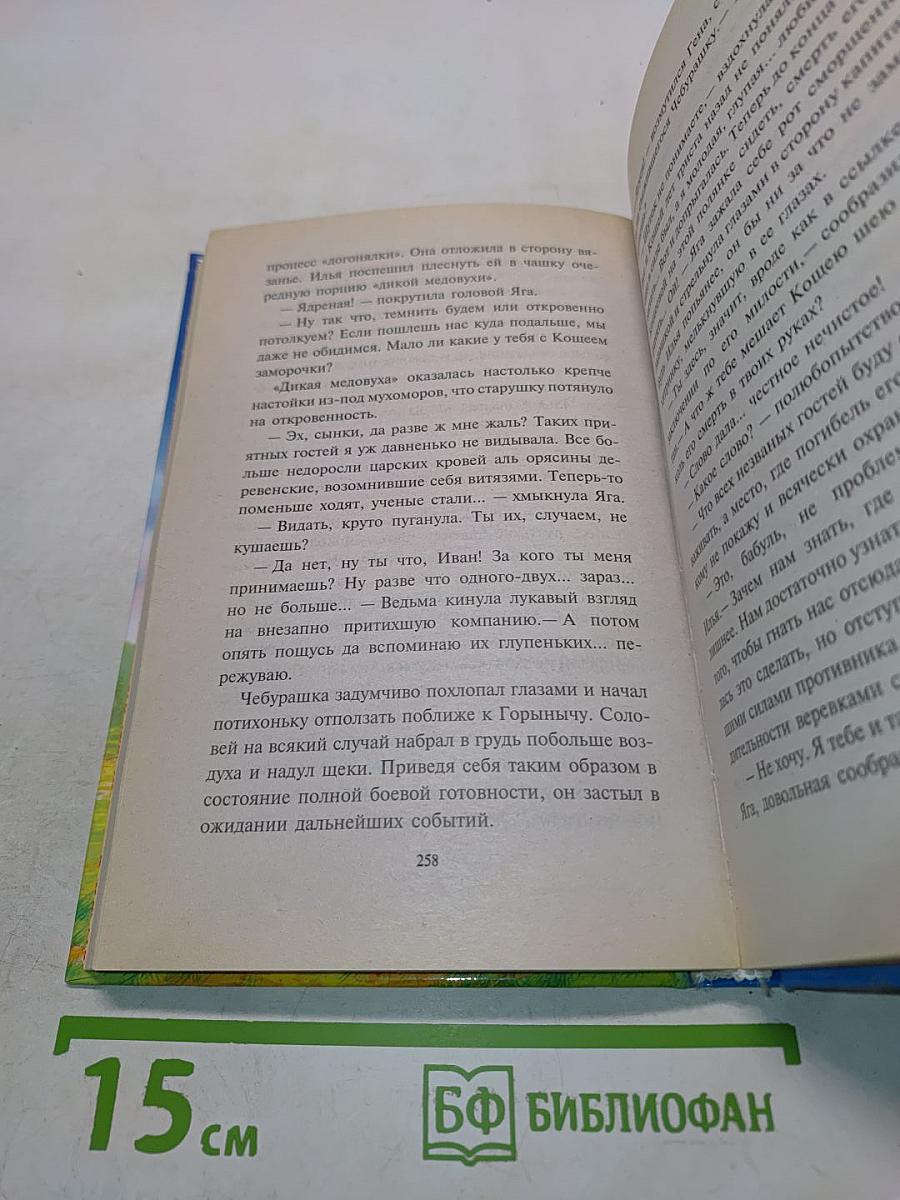 Операция «У Лукоморья...»