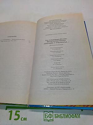 Операция «У Лукоморья...»