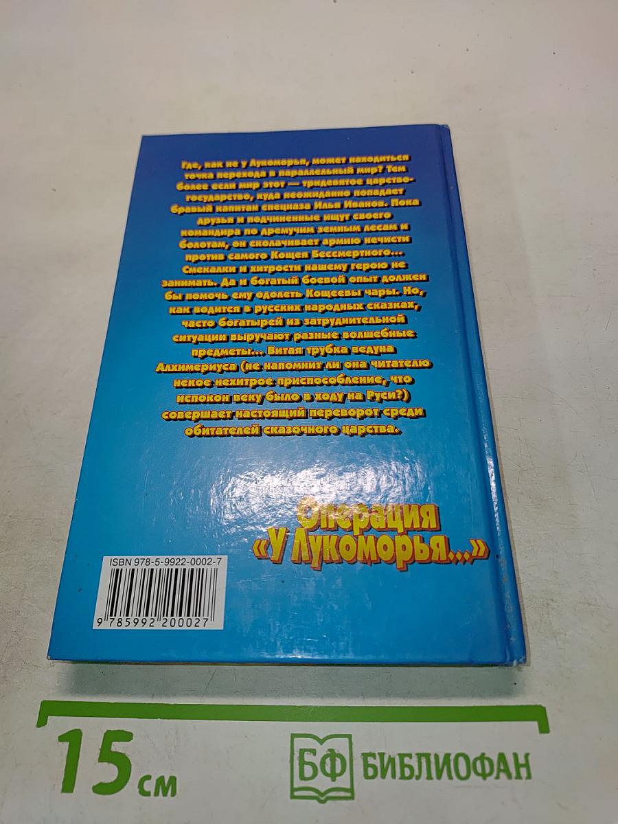 Операция «У Лукоморья...»