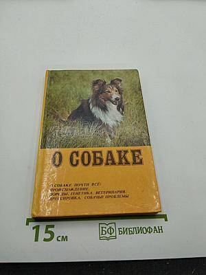 О собаке
