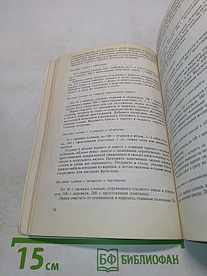 Плоды солнца на нашей трапезе
