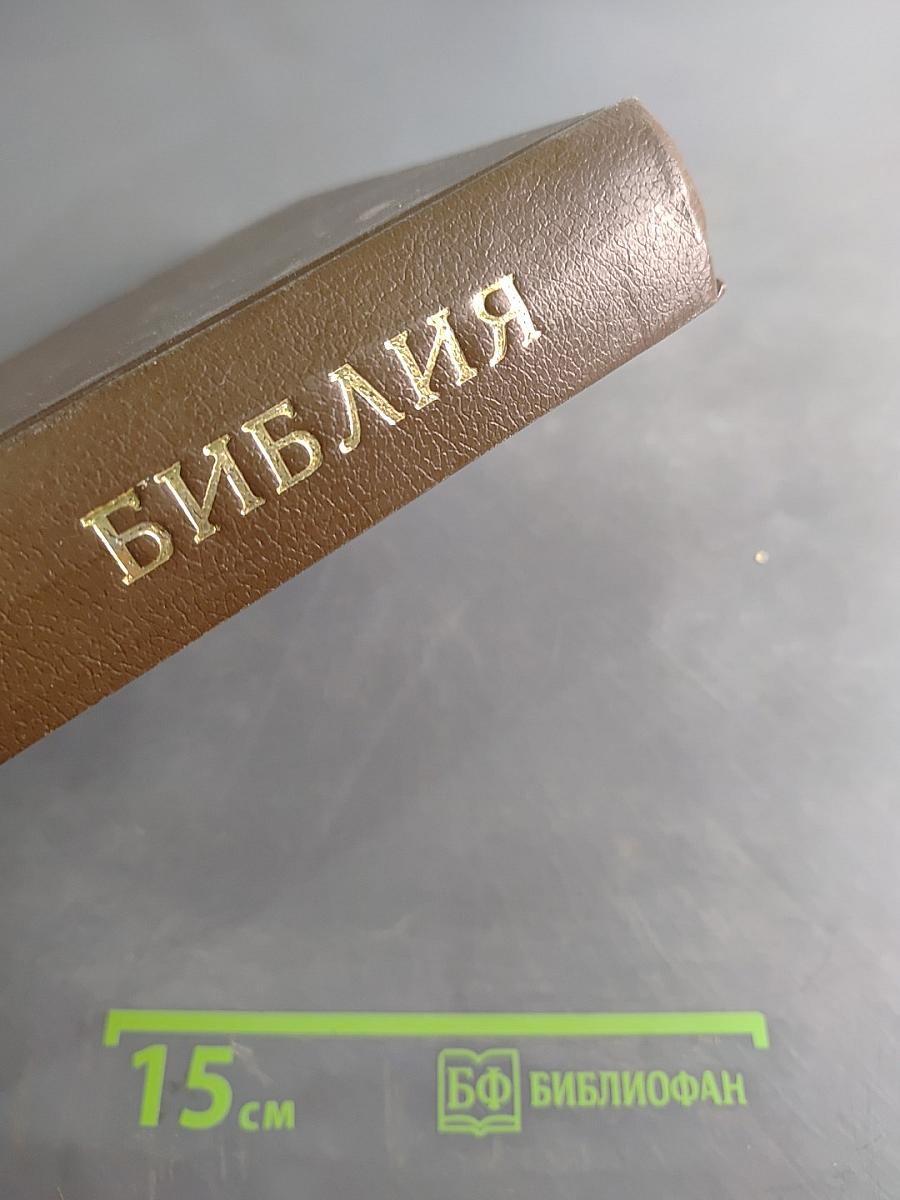 Библия. Книги Священного Писания Ветхого и Нового Завета. Канонические. Том I