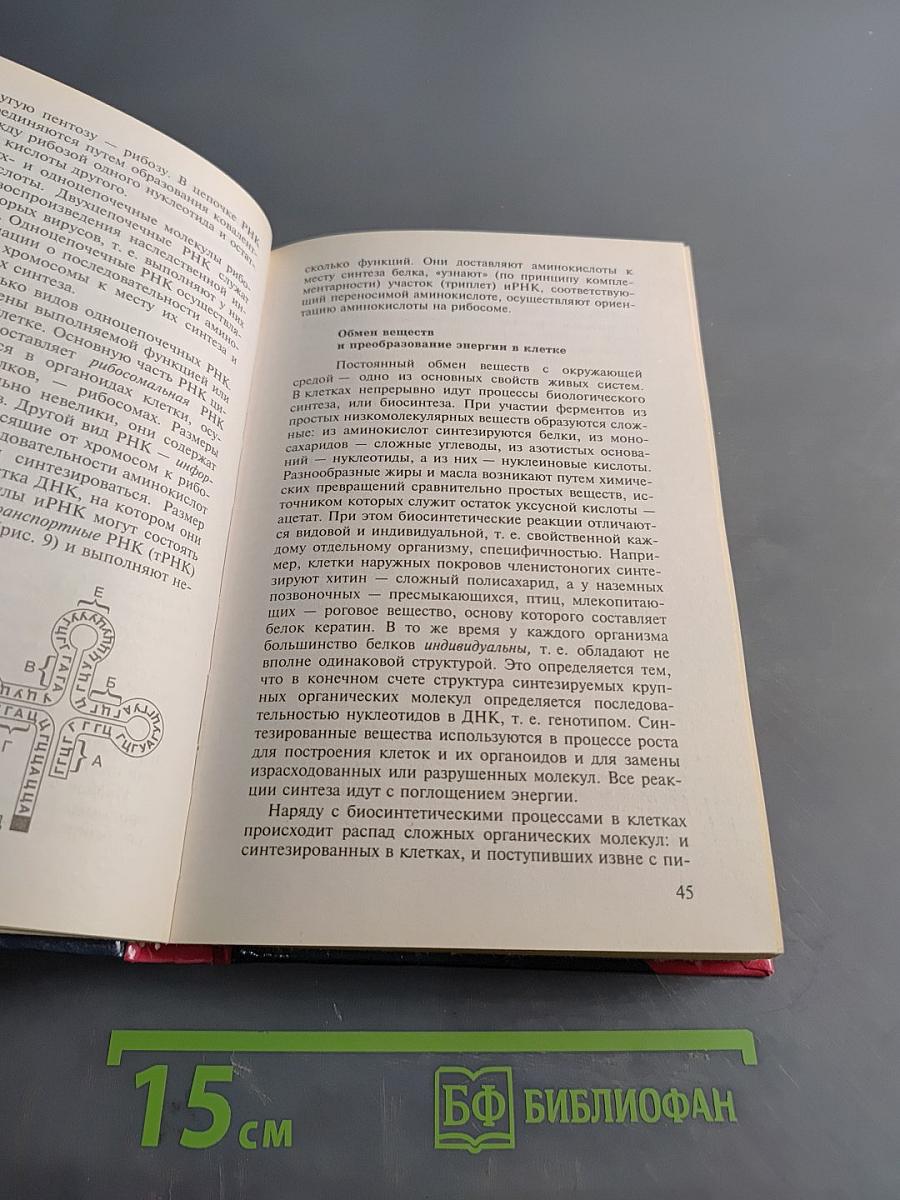 Биология для школьников старших классов и поступающих в вузы