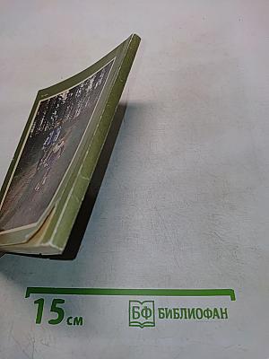 Вам, велосипедисты Ленинграда