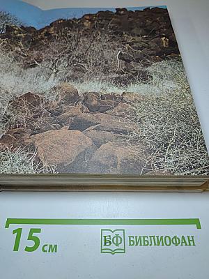 Сафари под Килиманджаро