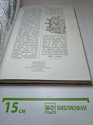 Сафари под Килиманджаро