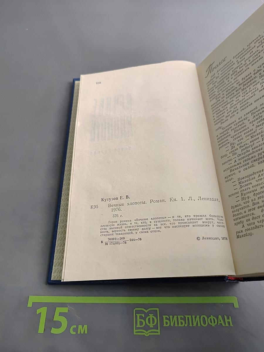 Вечные хлопоты. Книга первая