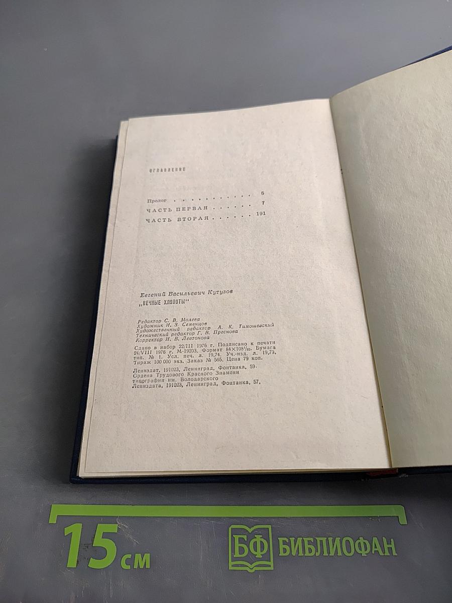 Вечные хлопоты. Книга первая