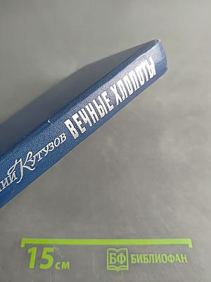 Вечные хлопоты. Книга первая
