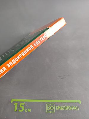 Заболевания эндокринной системы