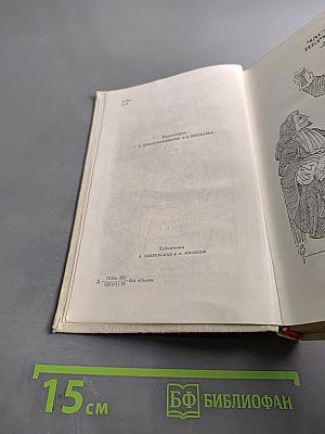 Виконт де Бражелон, или Десять лет спустя. Часть 1, 2