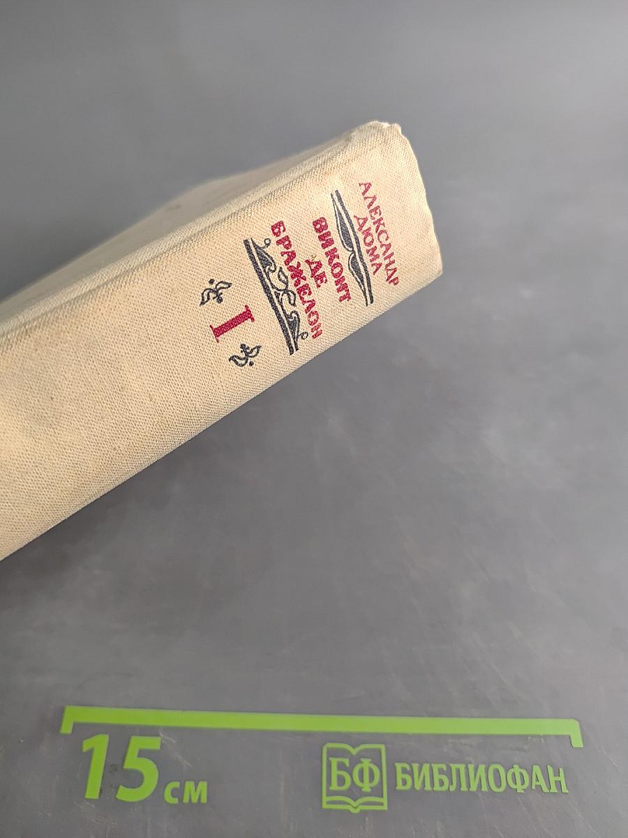 Виконт де Бражелон, или Десять лет спустя. Часть 1, 2