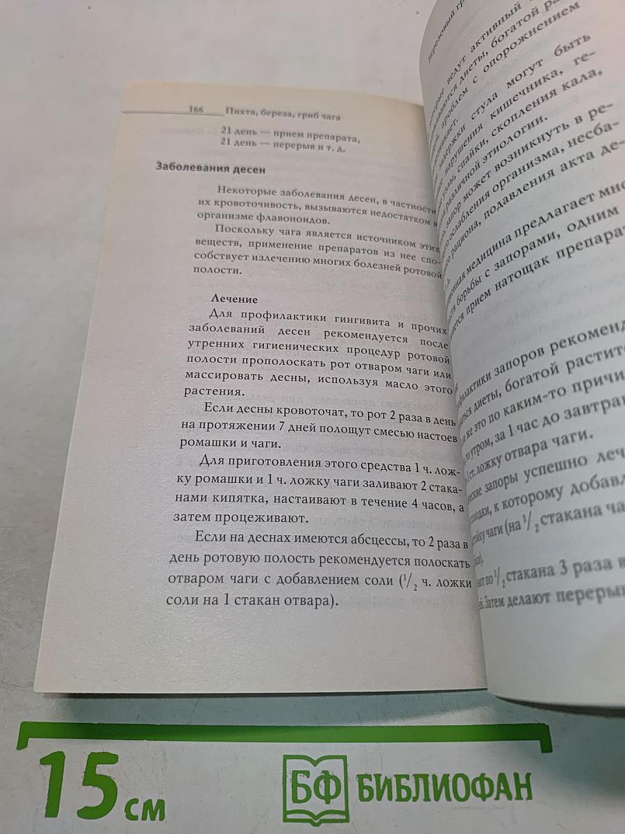 Береза, пихта, гриб чага. Рецепты лекарственных средств