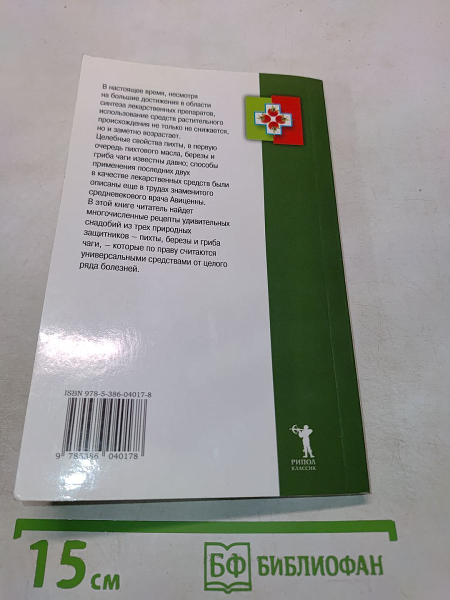 Береза, пихта, гриб чага. Рецепты лекарственных средств