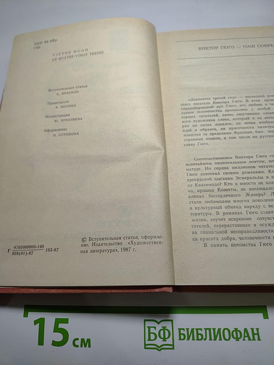 Девяносто третий год