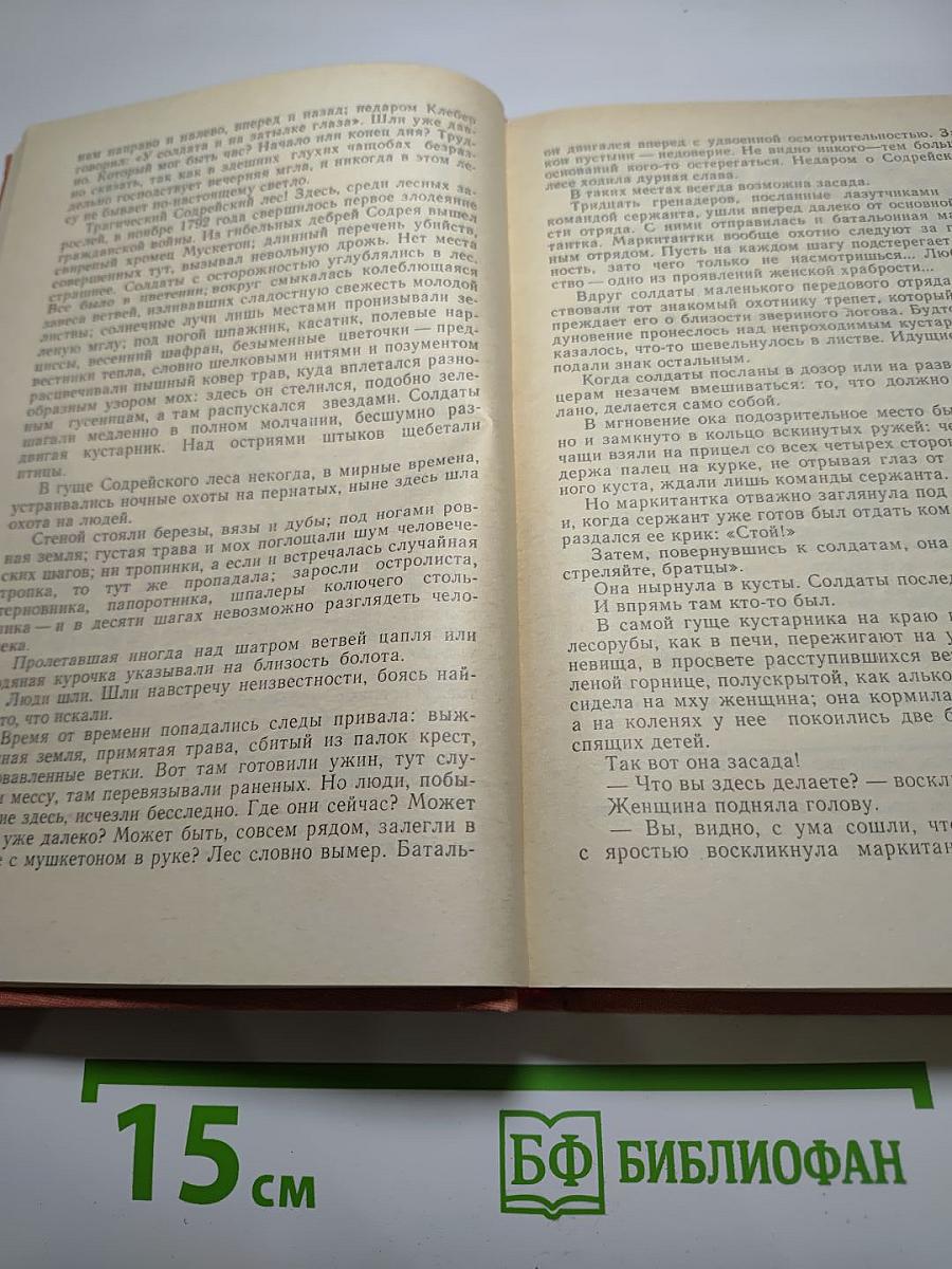 Девяносто третий год
