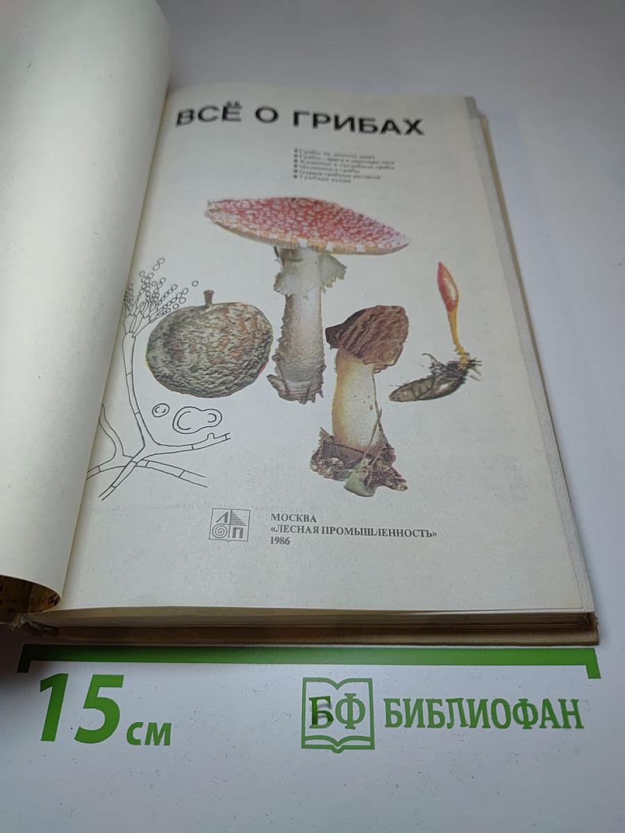 Всё о грибах