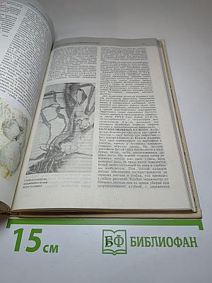 Всё о грибах