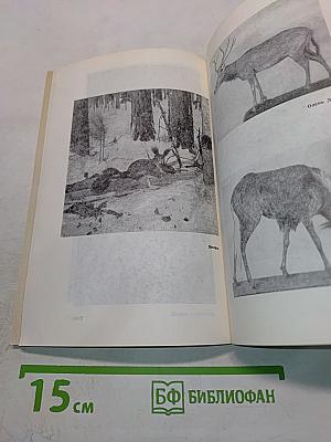Зоологический музей АН СССР. Краткая история и описание экспозиции