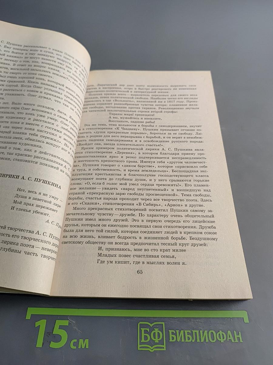 150 новейших сочинений по русской литературе XIX века
