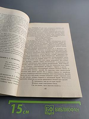 150 новейших сочинений по русской литературе XIX века