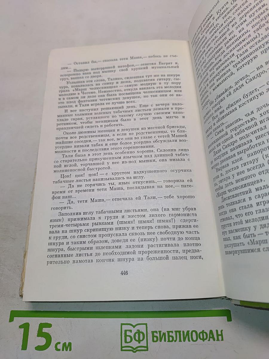 Сандро из Чегема