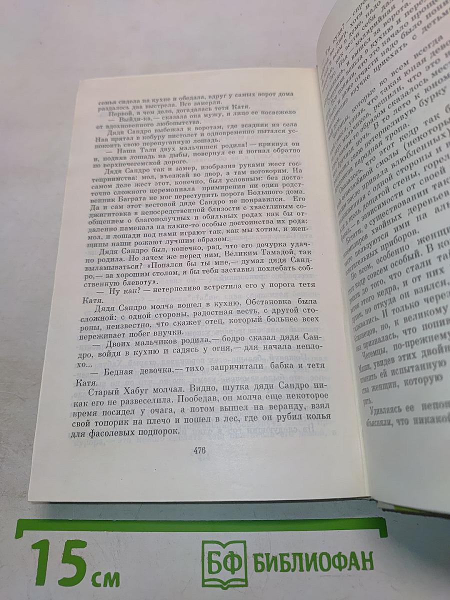 Сандро из Чегема