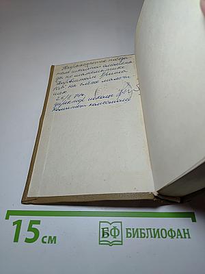 Юность